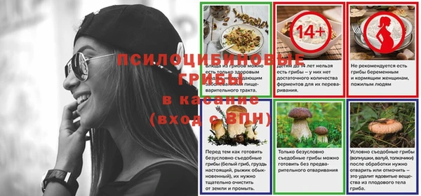 гашик Абинск