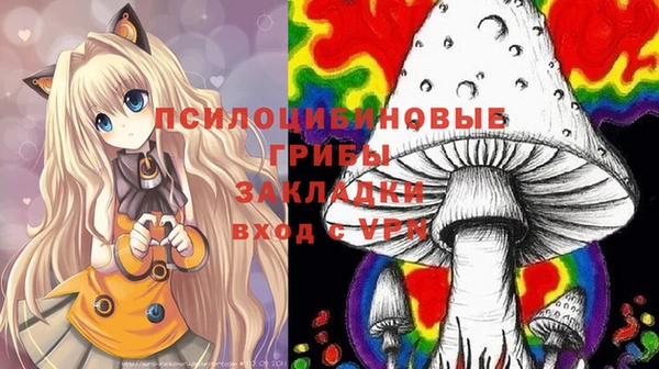 гашик Абинск