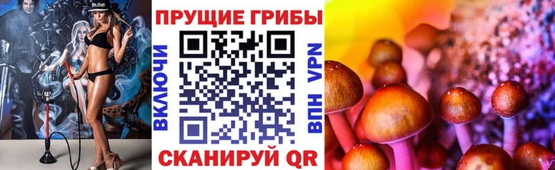 kraken вход  купить  сайты  Псков  Псилоцибиновые грибы мухоморы 