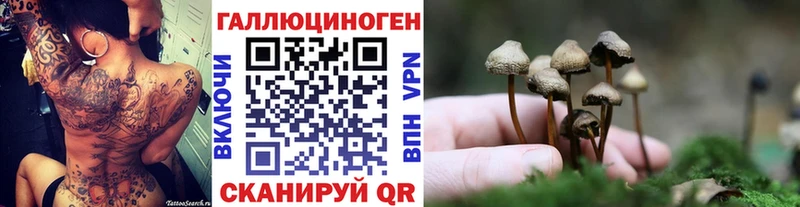 Псилоцибиновые грибы мухоморы Псков